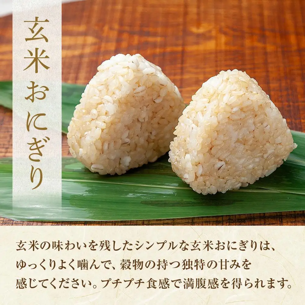 (M-64)【無地熨斗】 おにぎり コシヒカリ 玄米 80g×計6個 魚沼産 おむすび 冷凍 こしひかり ごはん ご飯 冷凍保存 新潟県産 魚沼 国産 おやつ 夜食 精米 米 お米 こめ コメ めし徳 新潟県 南魚沼市｜贈答