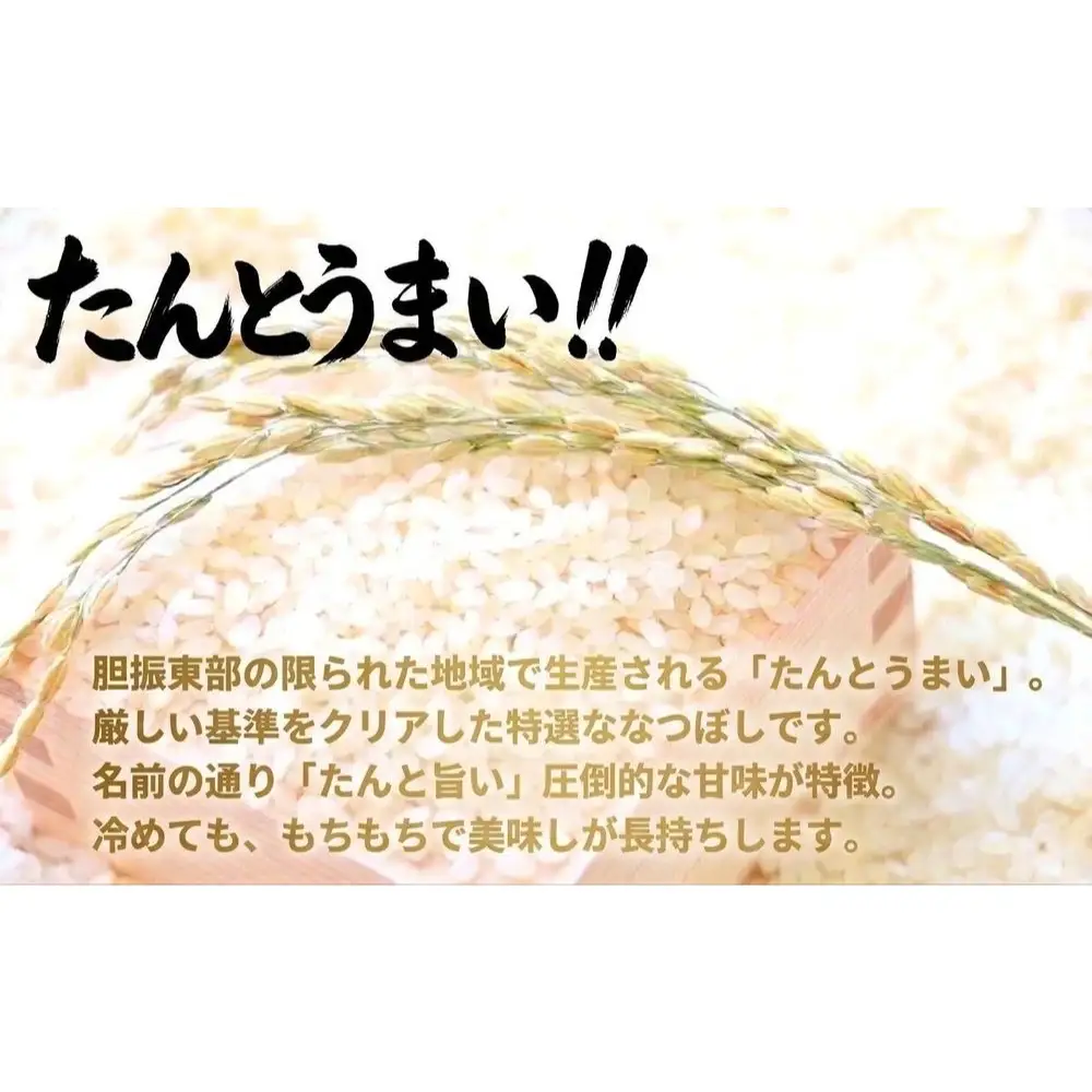 米 ななつぼし 15kg ＜令和7年産＞ たんとうまい 北海道 安平町【1340421】