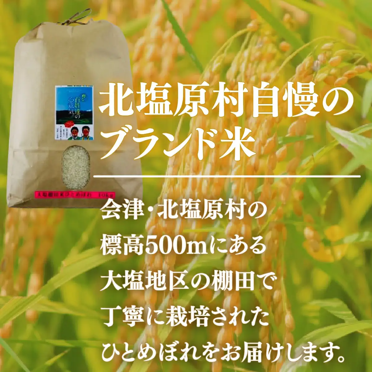 【先行予約/令和7年産 新米】会津・北塩原村産「ひとめぼれ」10kg（大塩棚田米・標高500ｍ里山栽培） KBK018