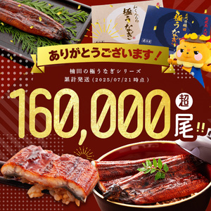 楠田の極 うなぎ 蒲焼き4尾 (計600g以上) b6-011