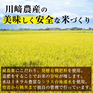【米の匠】川崎さん自慢のコシヒカリ 計9kg(4.5kg×2袋) b2-034-R6-3w