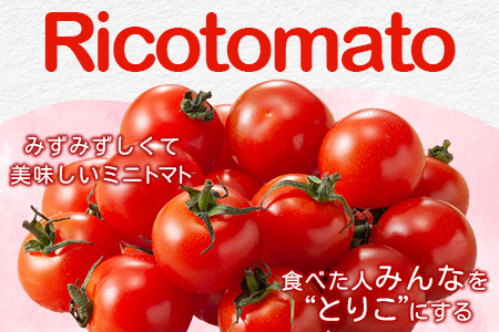 【先行受付】2027年1月より順次発送予定【少量パック】完熟ミニトマト 360g (120gx3p) | トマト プチトマト 野菜 農家直送 ギフト 人気 佐賀県鹿島市 たにぐちファーム Ricotomato（リコトマト）～とりこになるトマト～ B-324