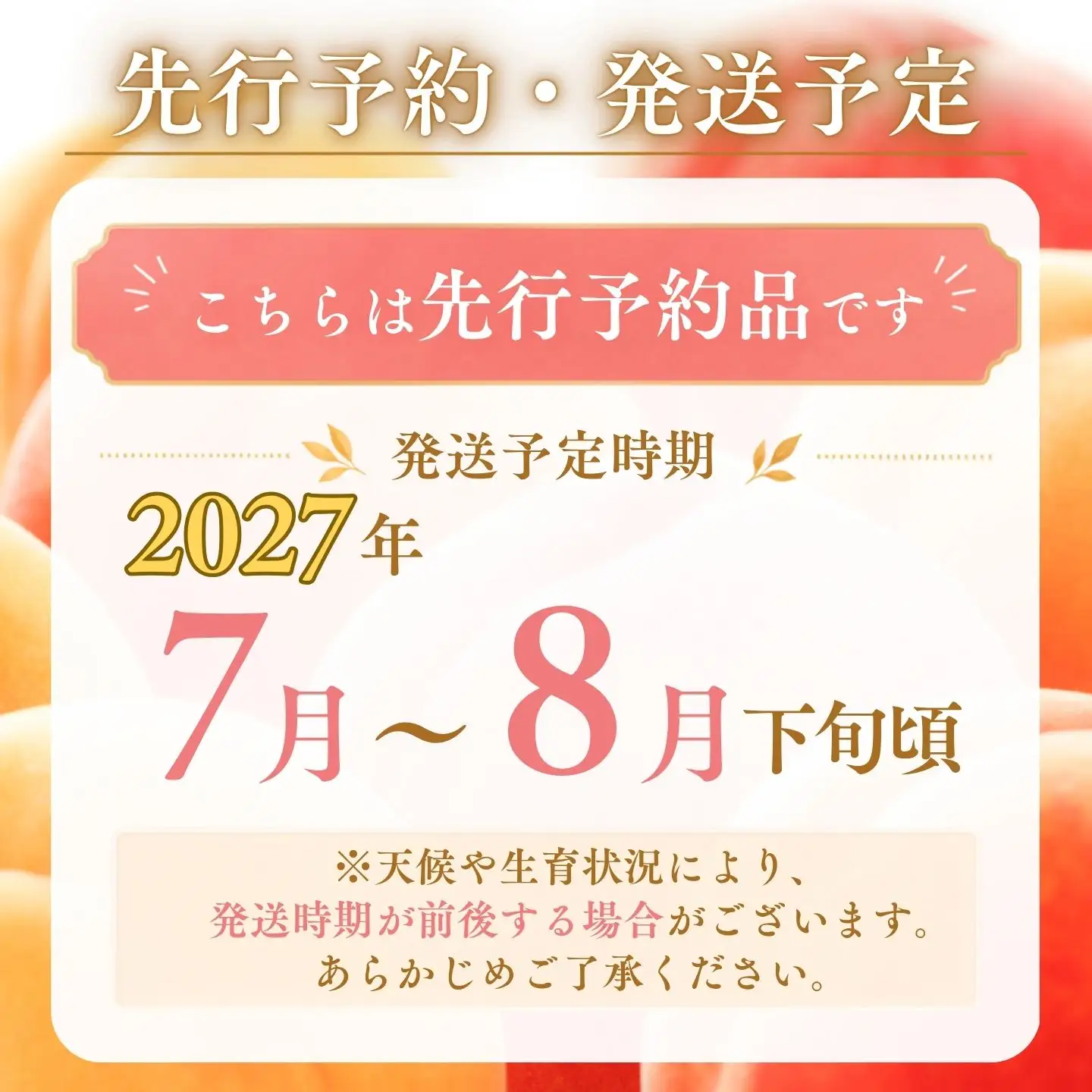 【2027年発送】山梨の桃 約1.5kg以上  桃