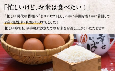 無洗米 炊飯に手間掛け米（まい）！ 2合 × 9個 [JAP015] 米 お米 時短 小分け 13000 13000円 のし プレゼント ギフト 九州