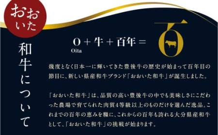 091-728 おおいた和牛 もも 焼肉 600g 和牛 牛肉 国産