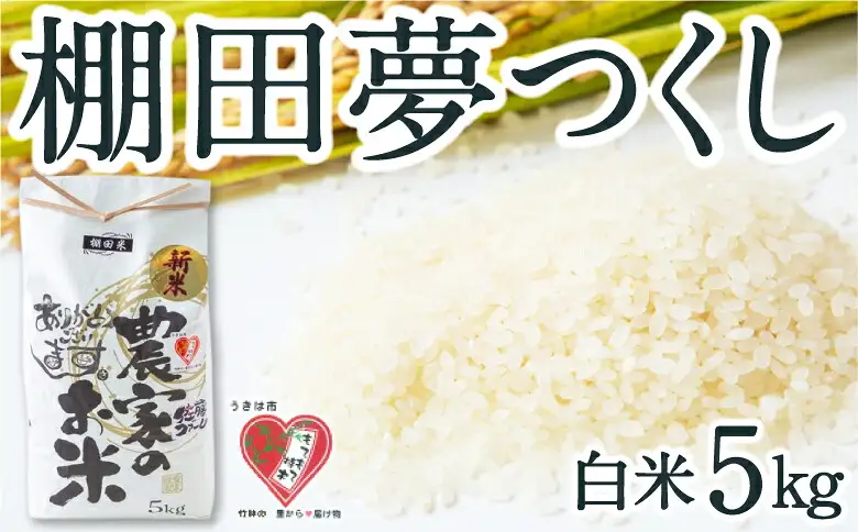 佐藤ファーム 棚田夢つくし 白米5kg 【2026年9月下旬より順次発送予定】 夢つくし こめ お米 コメ ごはん ご飯 送料無料 福岡県 うきは市