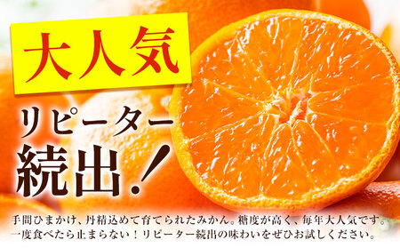 みかん マルチみかん「うまか」1箱 (約2.2kg)