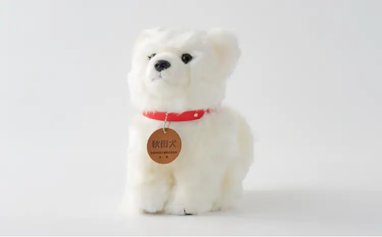65P7304 秋田犬白毛(鼻黒)ぬいぐるみ　座りＭサイズ【秋田犬保存会】