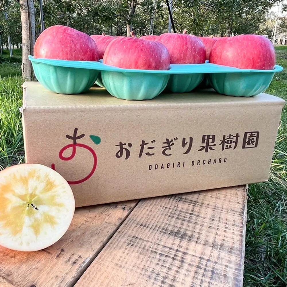 【26年11月下旬～発送】りんご【贈答】高徳 約2kg（8～13玉程度）先行受付