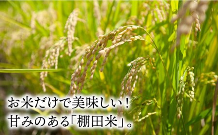 【棚田米】鬼木棚田の棚田米 夏ほのか 2kg 低農薬栽培 お米【野下上絵】[LE12] 