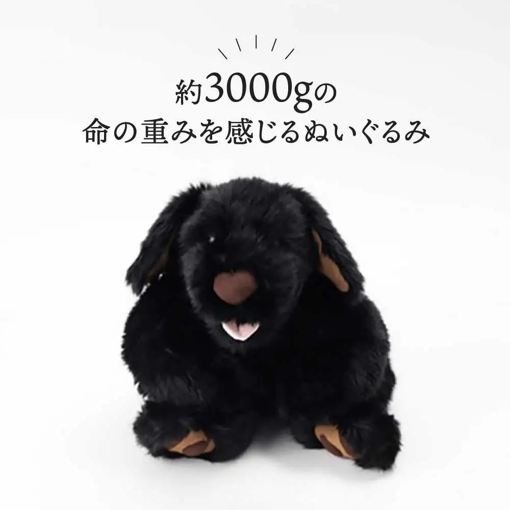 犬型セラピー？！ロボット？パトランの黒（通称：クロラン） 犬 ぬいぐるみ 糸島市 / 科学工房未來 [AYI002]