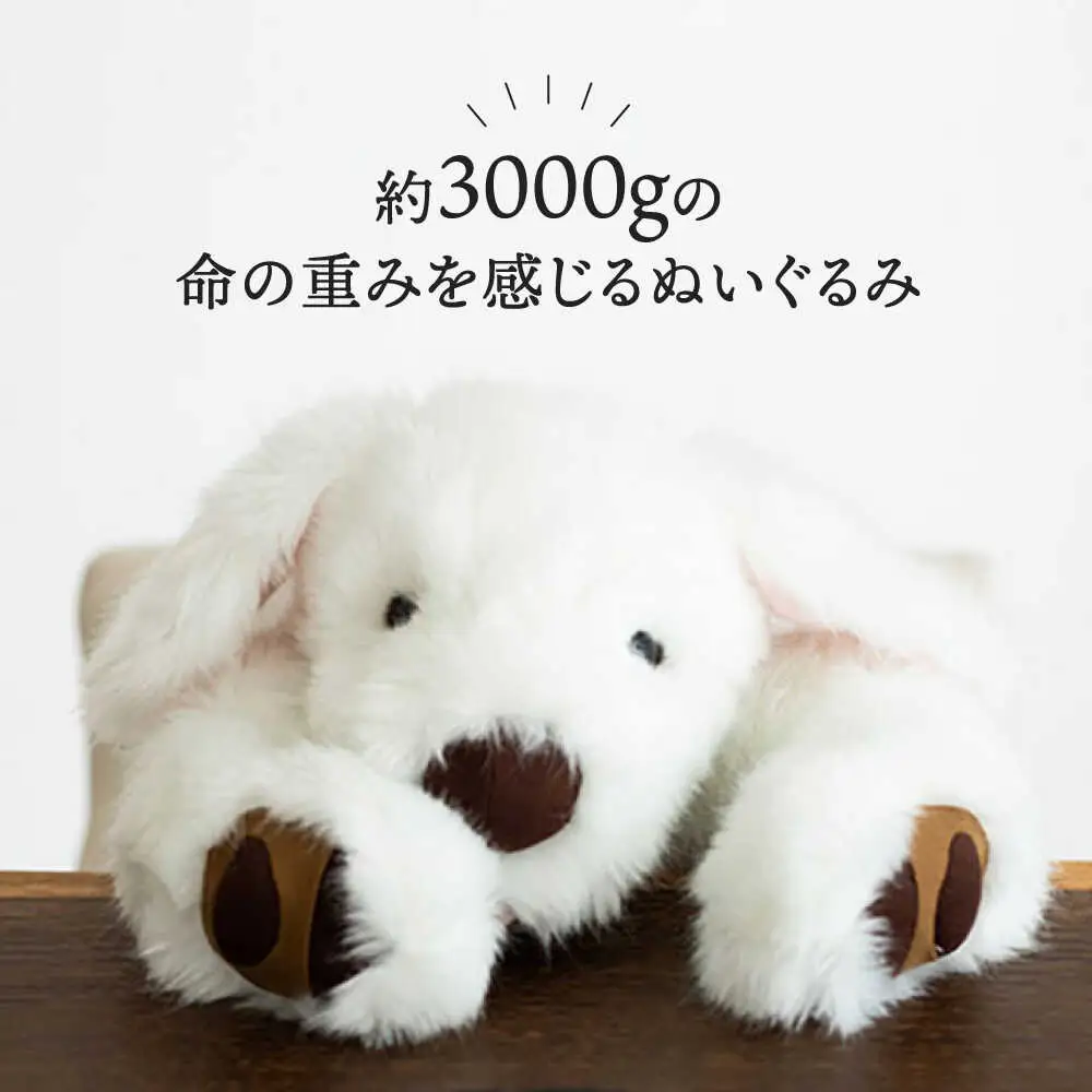 犬型セラピー？！ロボット？パトランの白（通称：シロラン）犬 ぬいぐるみ 糸島市 / 科学工房未來 [AYI003]