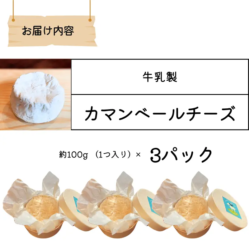 【11月～3月限定・牛乳使用】カマンベールチーズ 約100g×3パック