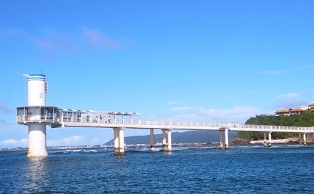 お魚とにらめっこ！海中展望塔　大人2名様【ブセナ海中公園】