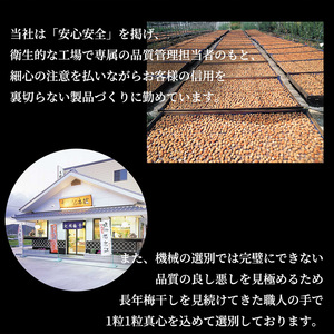 紀州南高梅　昔ながらのしそ漬　家庭用Ｂ級　800ｇ_SF1018