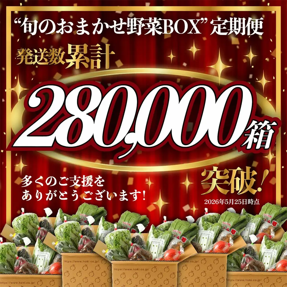  旬のおまかせ野菜BOXセット 旬の野菜 詰め合わせ 野菜 新鮮 野菜 8～11品目　AA-4