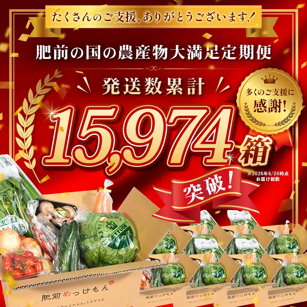 【３ヶ月お届け】肥前の国の農産物大満足定期便 【 野菜 卵 米 果物 新鮮 セット 詰め合わせ 定期便 産地直送 肥前 】E-61