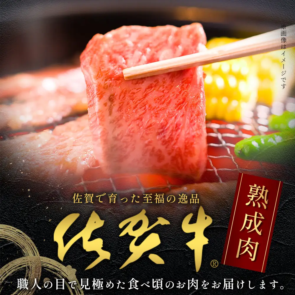【熟成肉】佐賀牛 牛肩ロース 焼肉用 500ｇ E-49