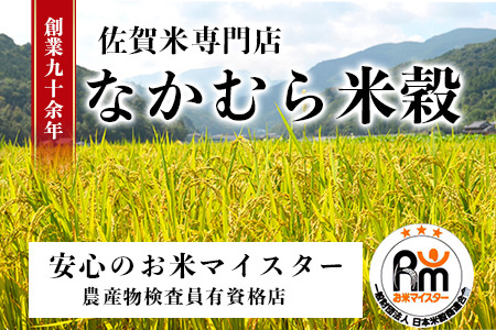 定期便 12ヶ月 佐賀県産 さがびより 白米 10kg《12ヶ月連続 毎月お届け》S-1