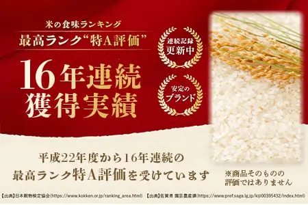  《 12ヶ月 定期便 》 佐賀県産 さがびより 玄米 （ 毎月20kg × 12回 ） V-12