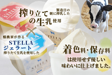 牧場直送！食べ比べ|しぼりたて生乳|極上ジェラートSTELLA8個|90g×8個|ミルク 抹茶 いちご きなこ4種×2個| 厳選素材 アイス プレゼント 贈り物 お中元 お歳暮 ご自宅用 美味しい贅沢 絶品 上質 佐賀県 鹿島市 冷凍 送料無料 B-30