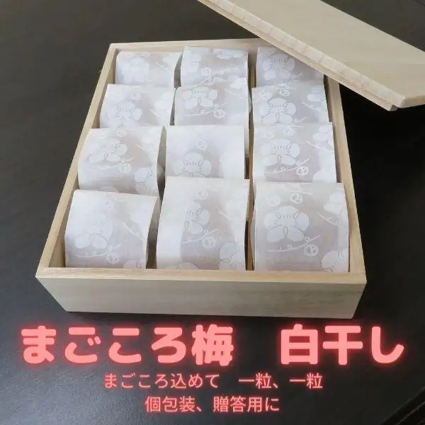 まごころ梅 白干し 塩分20％ 5Lサイズ 個包装 １２個入り
