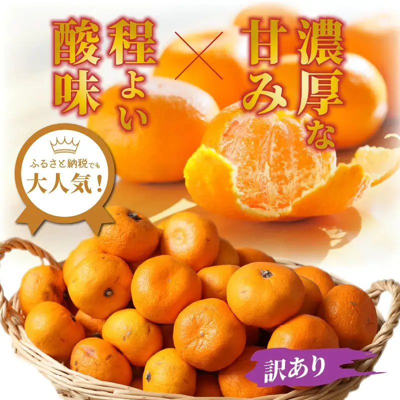 【訳あり】岸田果樹園「温故蜜柑」約7kg_2088R
