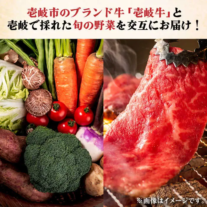 【全4回定期便】《A4〜A5ランク》壱岐牛と旬の野菜定期便 [JBO077] 肉 黒毛和牛