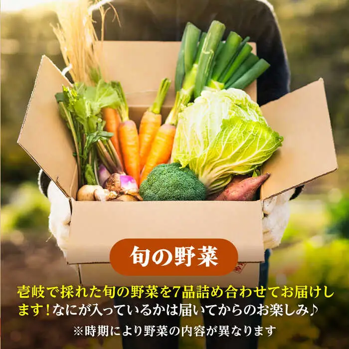 【全6回定期便】《A4〜A5ランク》壱岐牛と旬の野菜定期便 [JBO078] 《A4〜A5ランク》肉 黒毛和牛