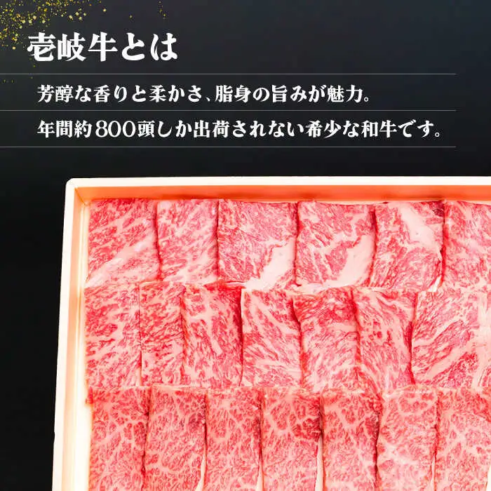【全6回定期便】《A4-A5ランク》壱岐牛 満足定期便 [JBO081] 和牛 黒毛和牛