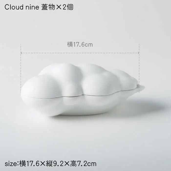 Cloudnine2個セット NAU001 やきもの 食器