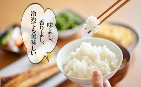 6ヶ月 10㎏ 定期便 白米  ひとめぼれ 精米 令和7年産 コメ