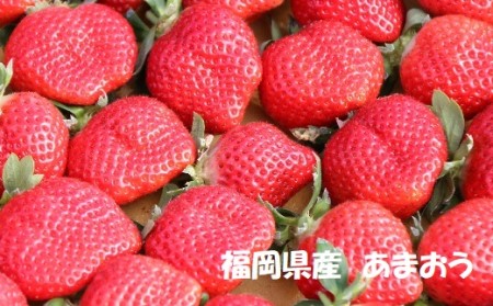 【2027年1月発送開始】いちご2種食べ比べセット「あまおう」「さちのか」各2パック計1,160g★あんずの里[H0073]