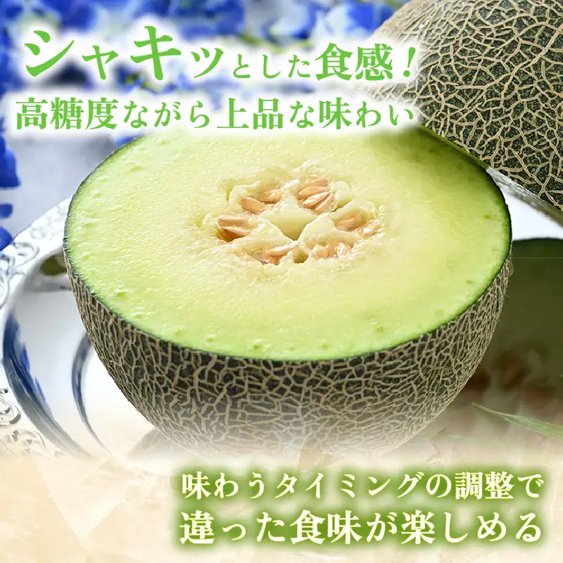 【先行予約】ペルルメロン 1玉（約2kg以上）青肉品種 高級メロン！ ／ マスクメロン 大玉 果物 フルーツ ギフト 農家直送 ※2027年6月下旬以降順次発送 [aw065-a006]