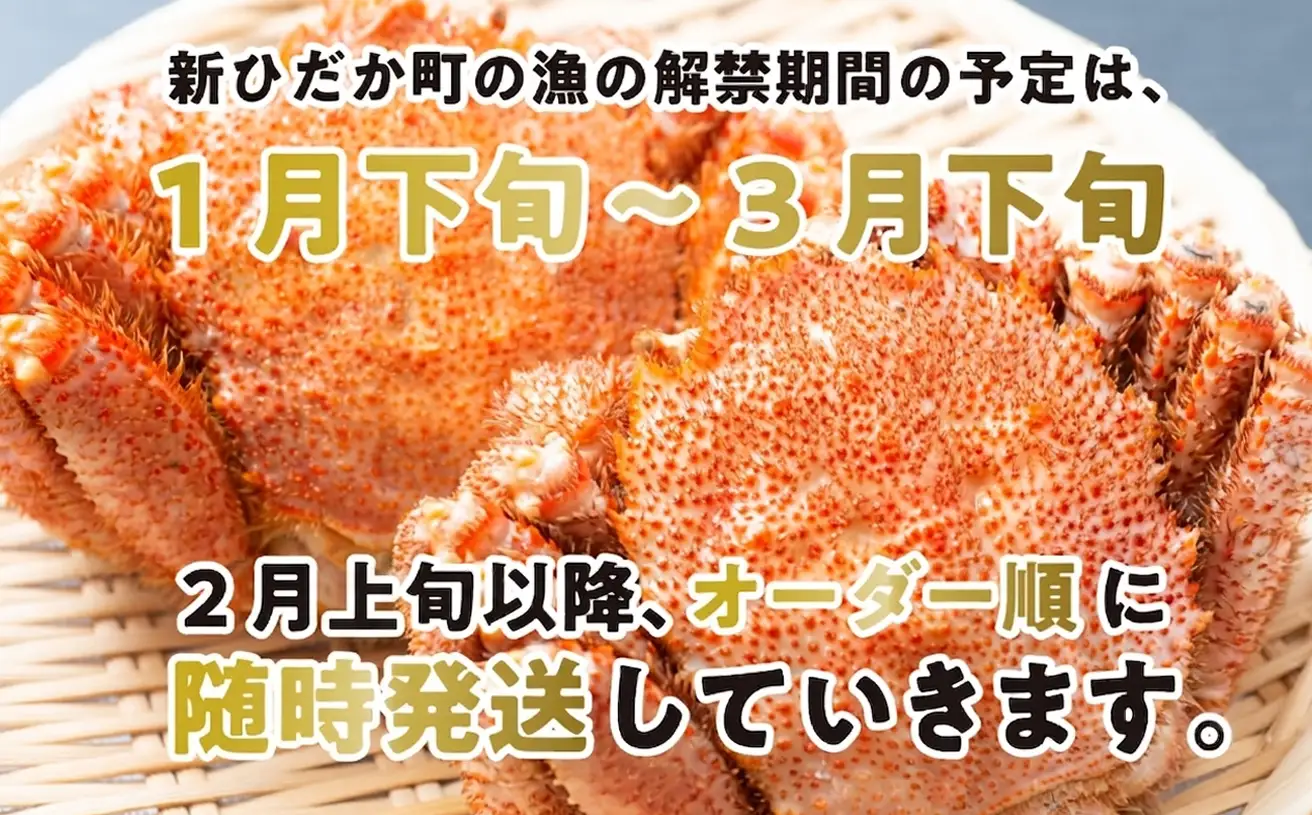 ＜ 2027年2月上旬より発送開始 ＞ 訳あり 北海道産 浜ゆで 毛ガニ 約2kg かに 蟹 ＜ 予約受付 ＞