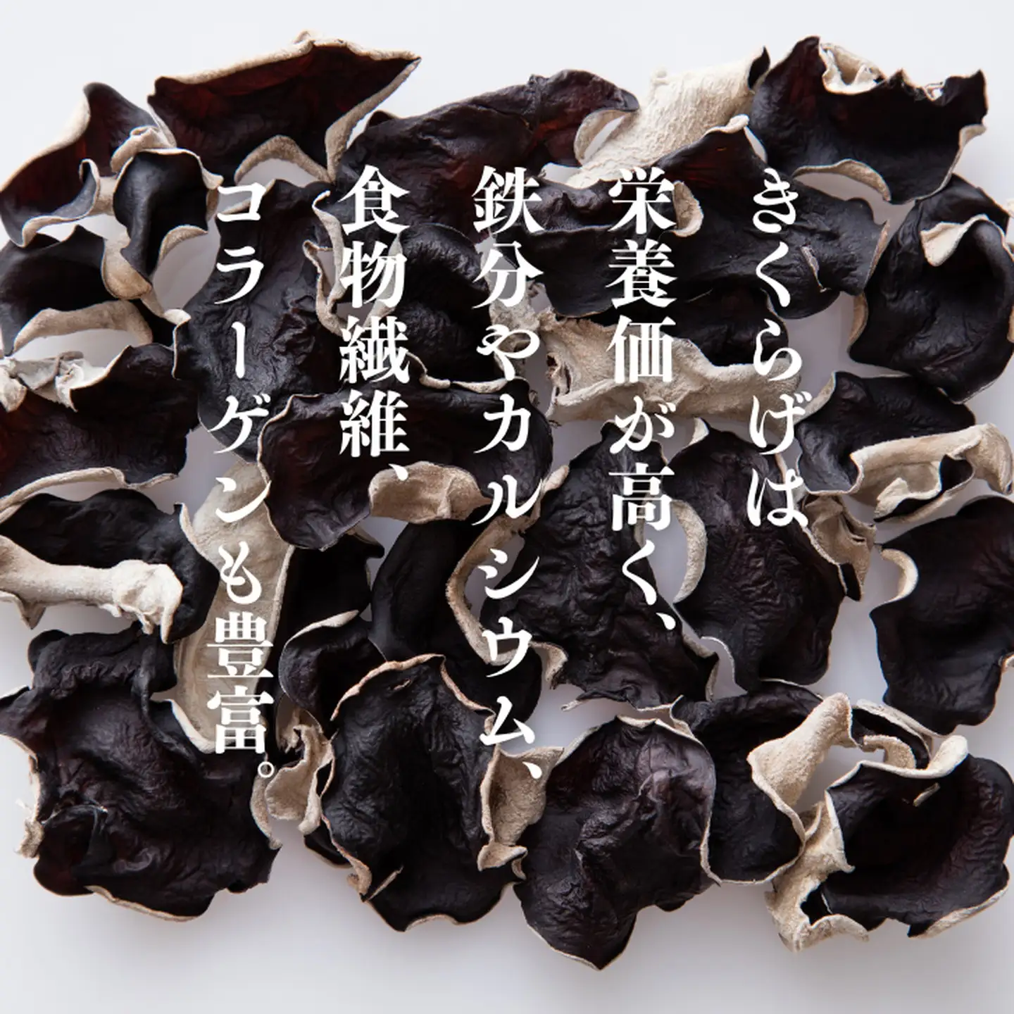 きくらげ 佐賀県産乾燥きくらげ 2袋：A085-003