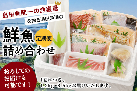【定期便】浜田の旨い鮮魚3回お届けコース 海鮮 セット 海鮮 【006_2042】
