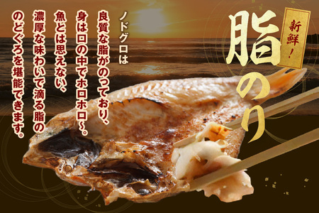 のどぐろ開き干し4～5枚 計約600g 20～22㎝前後 のどぐろ 干物 【019_1942】
