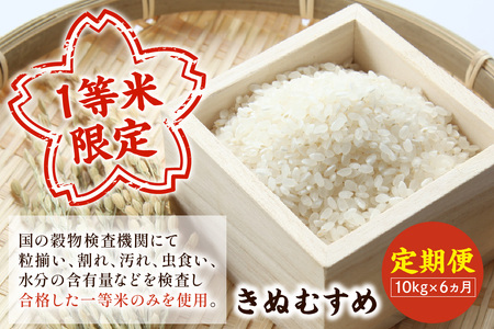 【令和8年産新米】【定期便】浜田市産きぬむすめ 60kg （10kg×6回コース）＜2026年10月20日より順次発送＞ お取り寄せ 特産 米 お米 精米 白米 ごはん ご飯 コメ 【197_1990】