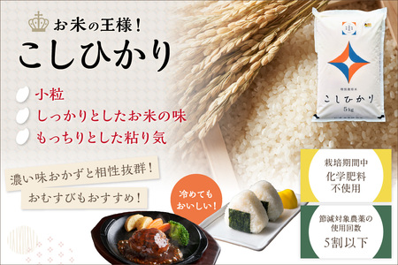【定期便】【令和7年産】弥栄町産特別栽培米「秘境奥島根弥栄」こしひかり5kg（6回コース） 米 お米 こしひかり 特別栽培米 精米 白米 ごはん 定期 定期便 6回 新生活 応援 準備 お取り寄せ 特産【090_1879】