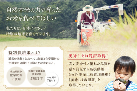 【令和7年産】弥栄町産特別栽培米「秘境奥島根弥栄」こしひかり（玄米）30kg 米 お米 玄米 特別栽培米 新生活 応援 準備 ごはん お取り寄せ 特産 【090_1883】