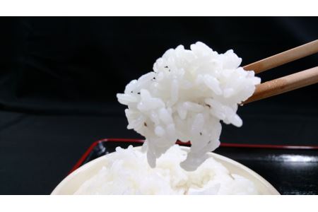 【令和8年産】弥栄町産特別栽培米「秘境奥島根弥栄」つや姫・こしひかり食べ比べ（各2kg） 米 お米 精米 白米 特別栽培米 つや姫 こしひかり 食べ比べ ごはん お取り寄せ 特産 新生活 応援 準備 【090_1925】