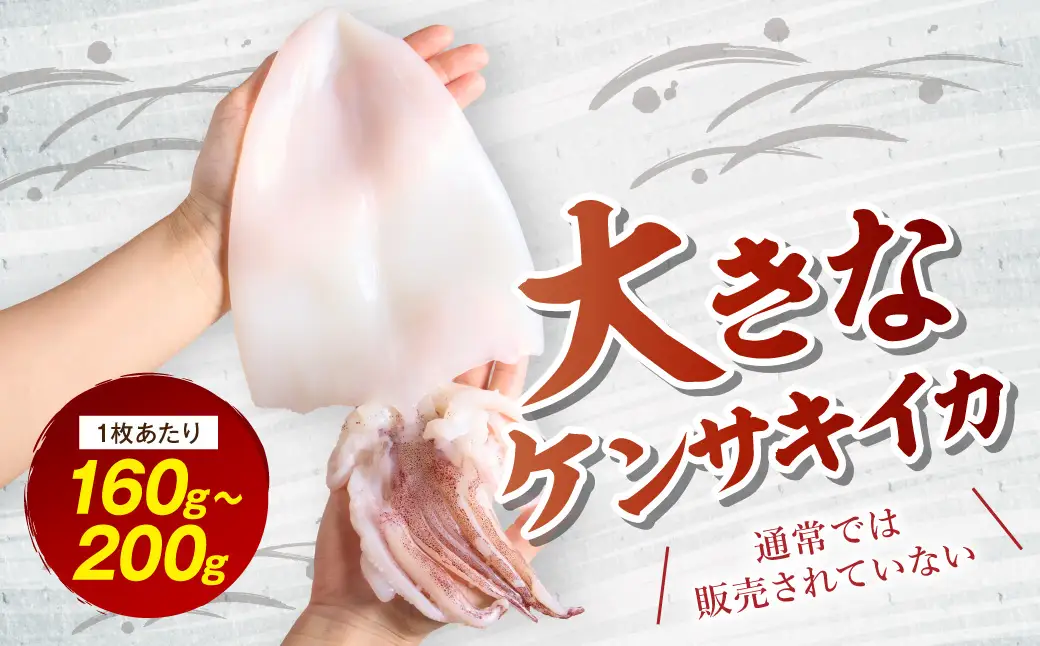 大きな「白いか一夜干し（4枚～5枚）」 白いか 一夜干し 干物 干もの 御中元 御歳暮 ギフト 新鮮 厳選 海鮮 セット 個包装 魚介類 【136_1998】