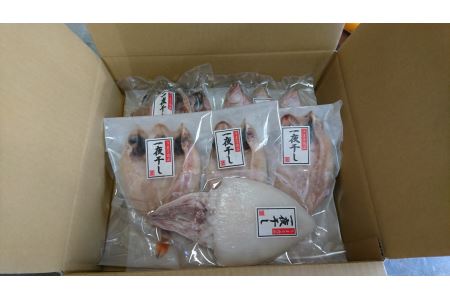 しまね浜田の美味しいのどぐろ あじ カレイ 白いか 一夜干しセット 魚介類 魚貝類 魚 干物 干もの 一夜干し おかず つまみ セット 詰め合わせ 父の日 【161_1707】
