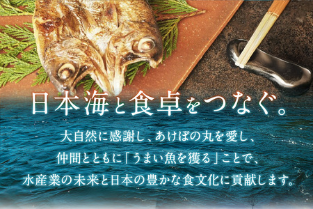 山陰浜田港あけぼの丸と浜の匠ののどぐろ・かれい一夜干しセット 魚介類 魚貝類 魚 干物 干もの 一夜干し 干物セット のどぐろ カレイ セット 詰め合わせ 【146_2042】