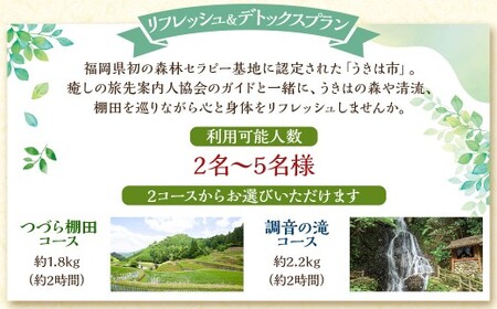 【参加型体験】リフレッシュ&デトックス 心癒されるうきはの森林セラピー ／ 癒やし リフレッシュ 森 うきは市