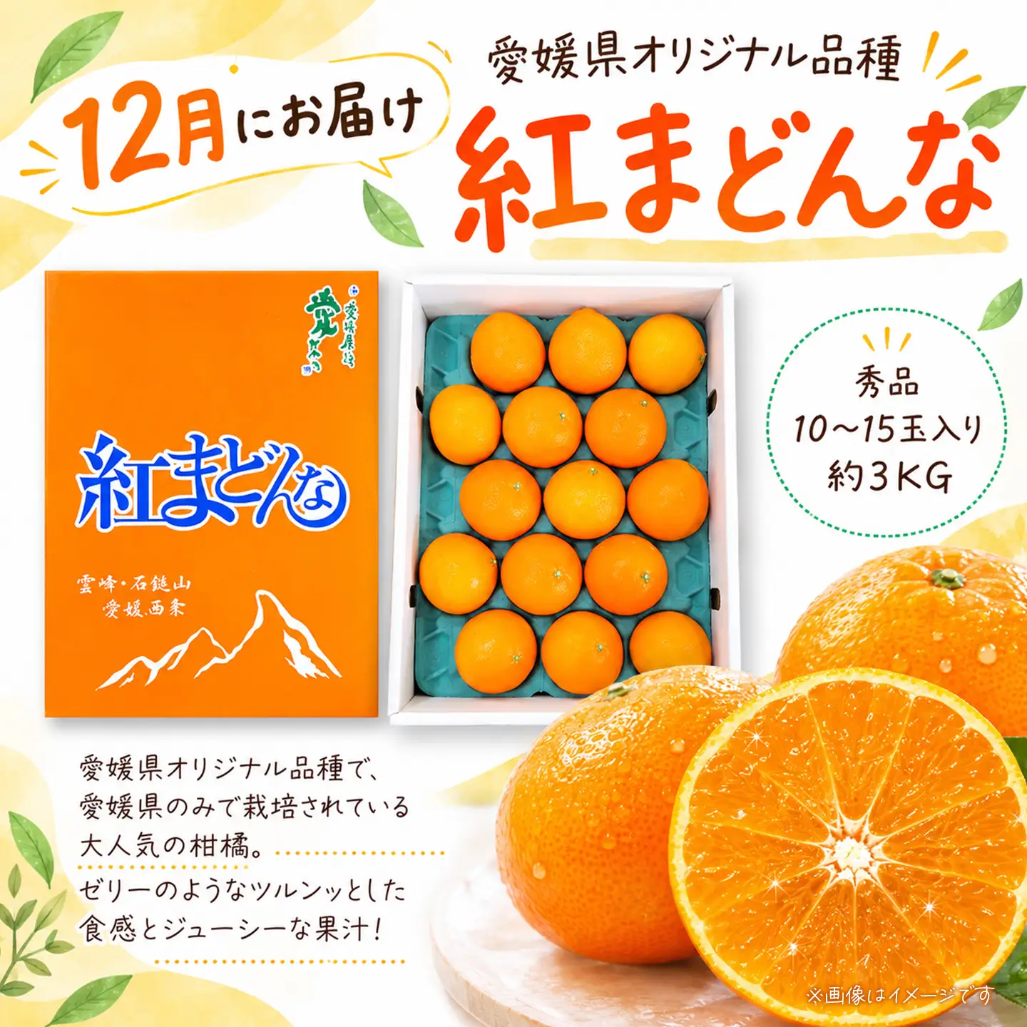【12月開始】かんきつ定期便（全4回）【紅まどんな 甘平 アンコール デコポン】まどんな