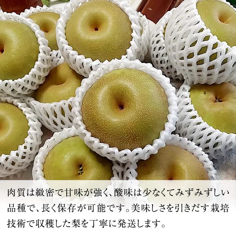 にっこり梨 3kg 【10月発送開始】