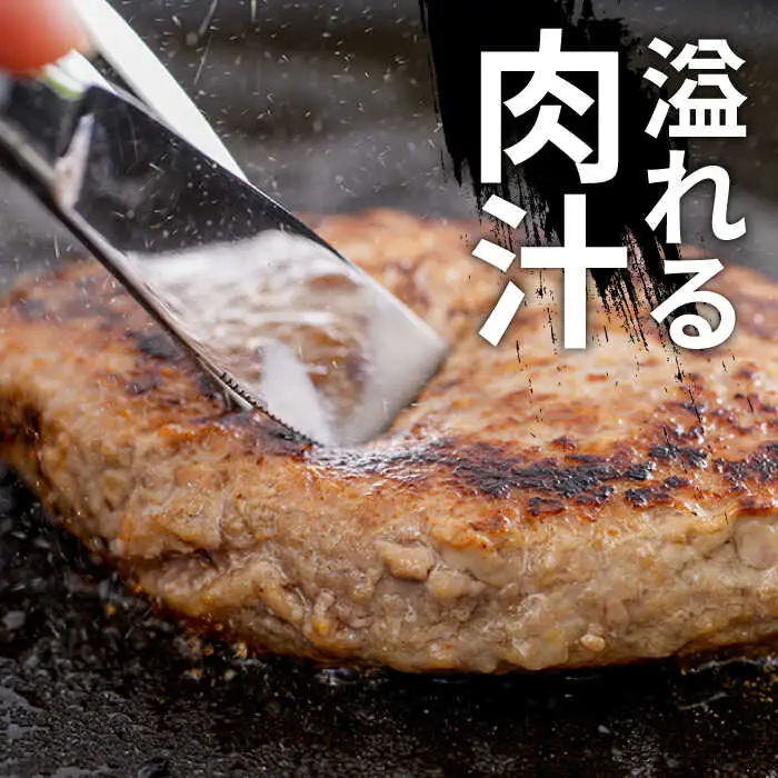 【長崎じげもん豚】はちみつ味噌 ハンバーグ（10個）/  はんばーぐ 小分け 冷凍  / 南島原市 / 溝田精肉店 [SBP001]
