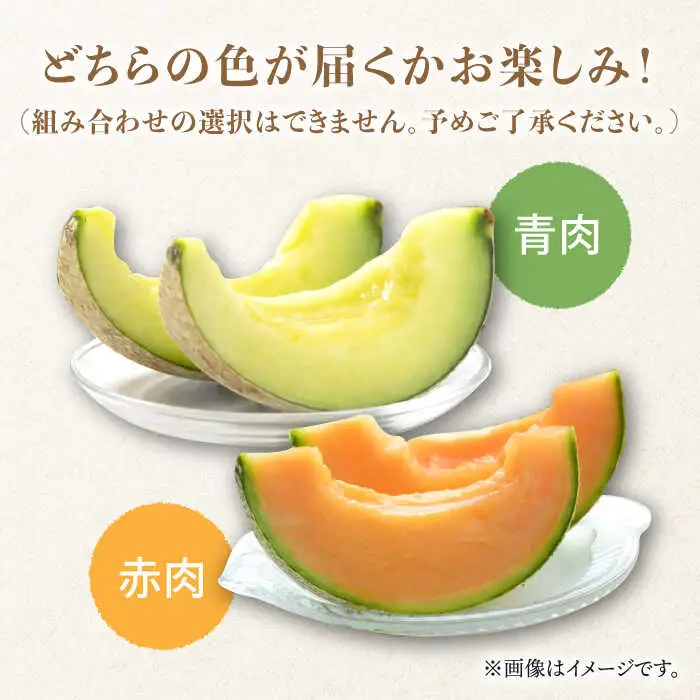 【2026年11月中旬-発送】アールス メロン (2玉) / メロン めろん メロン めろん メロン 青肉 果物 フルーツ / 南島原市 / JA島原雲仙東南部基幹センター [SAC004]